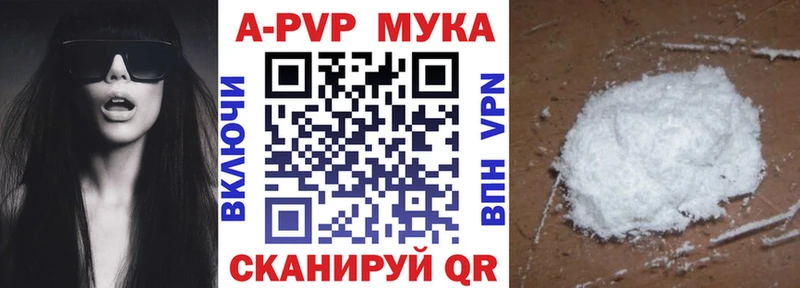 Alfa_PVP СК КРИС Вятские Поляны