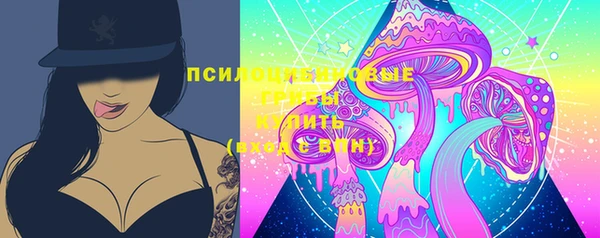 гидропоника Белокуриха