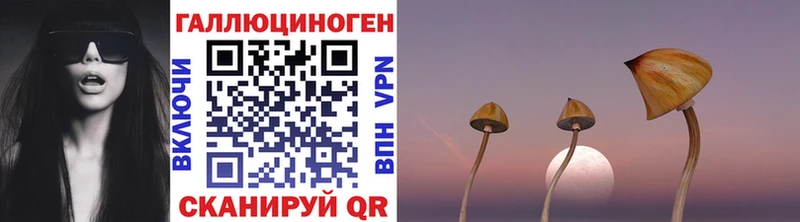 Псилоцибиновые грибы Psilocybe  Вятские Поляны 